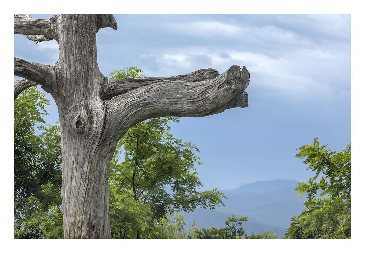 Shenandoah NP